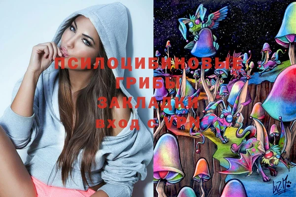 ешки Абинск