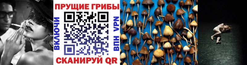 Галлюциногенные грибы Cubensis  наркошоп  МЕГА зеркало  Злынка 
